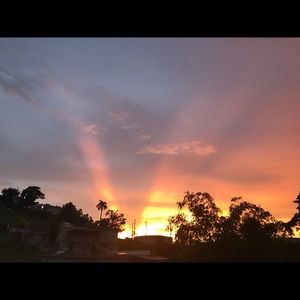 Meet your Posher, Angelica